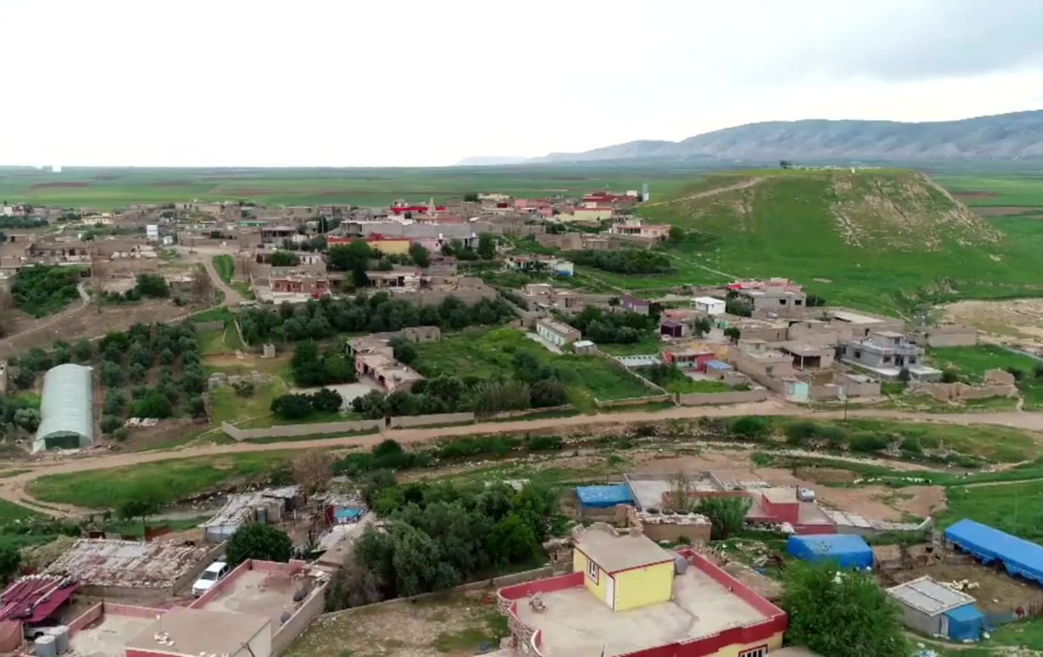 coexistence 11052020