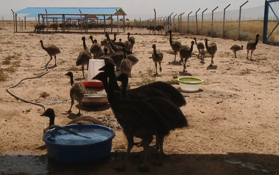 MuchamNawe 25022015muh