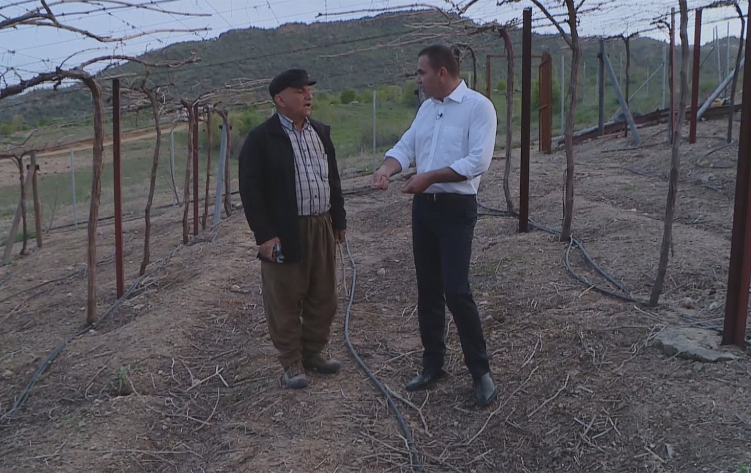 جووتیارێکی نموونەیی لە دهۆک شارەزاییەکی باشی لە بەرهەمهێنانی ترێ هەیە