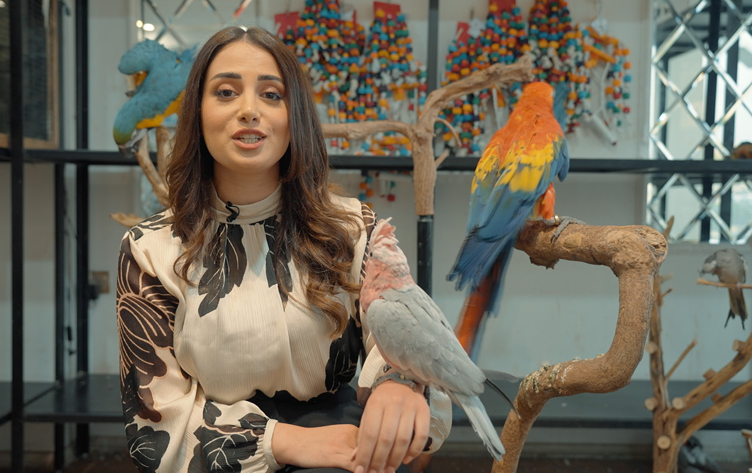 ماڵی و کێوی