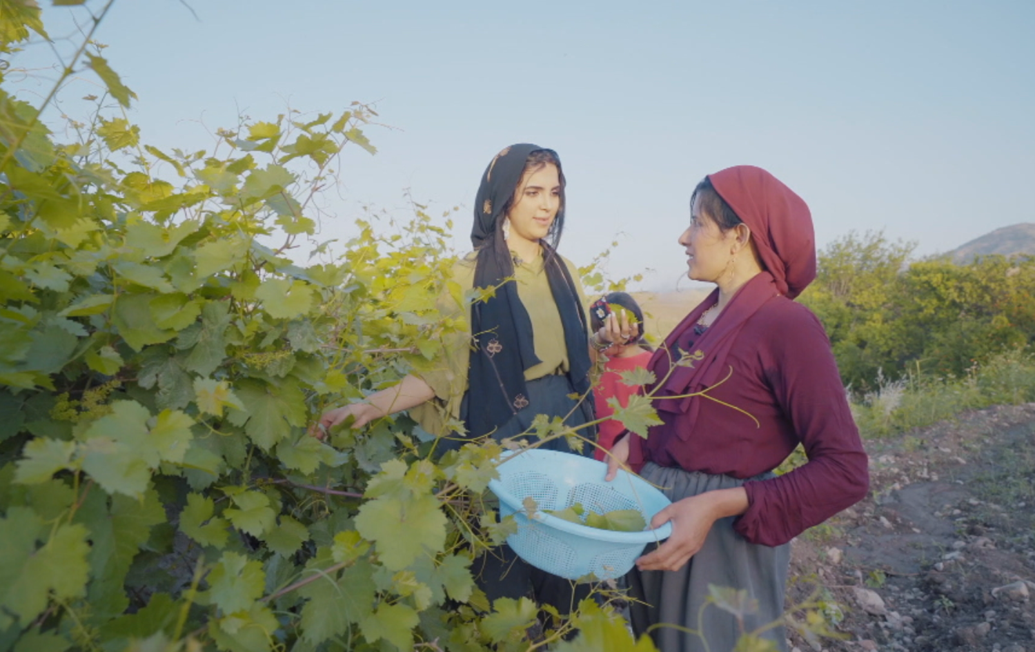 ئامادەکردنی یاپراخی گەڵامێو لە رەمەزاندروستی