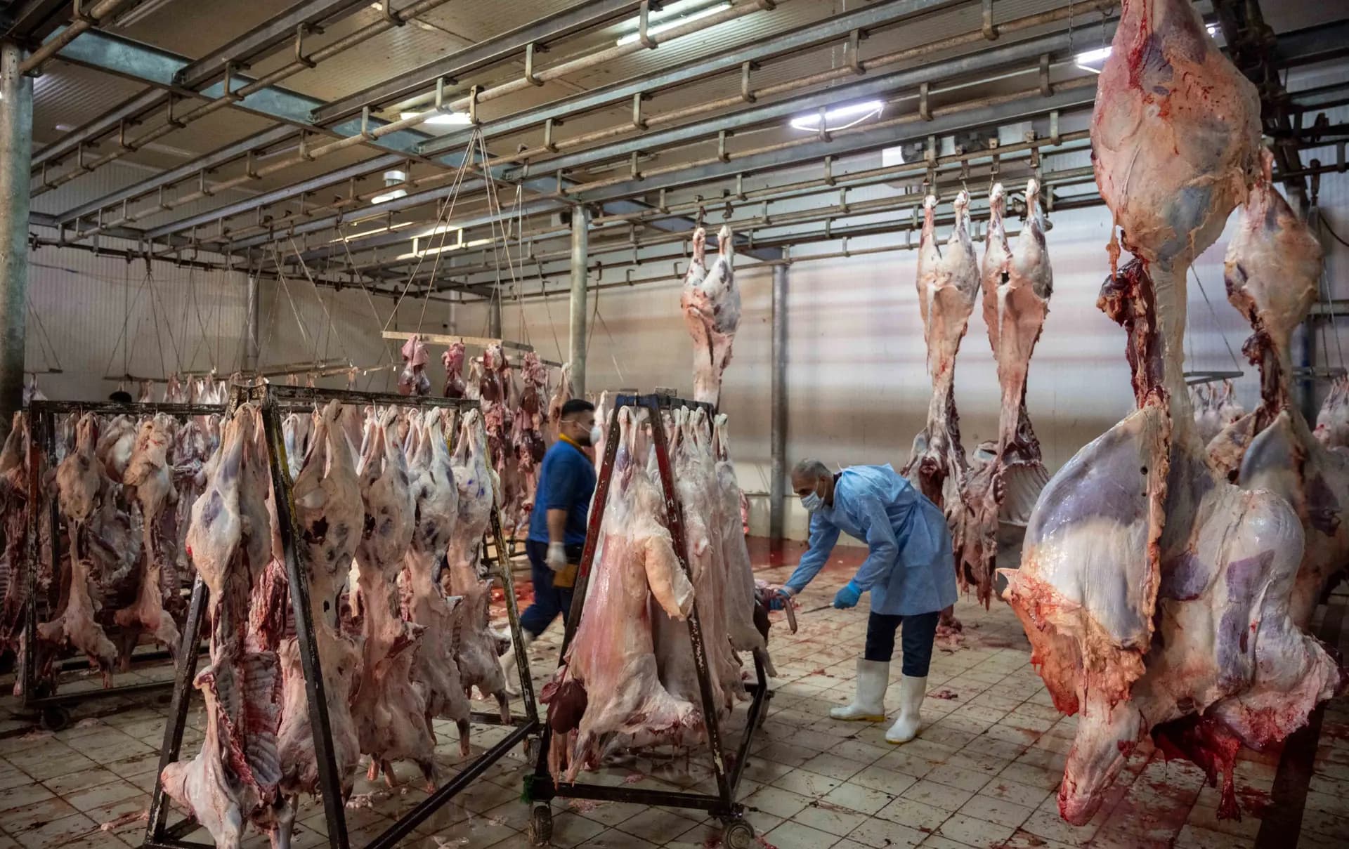 Kurdistan records first hemorrhagic fever cases, one in critical condition