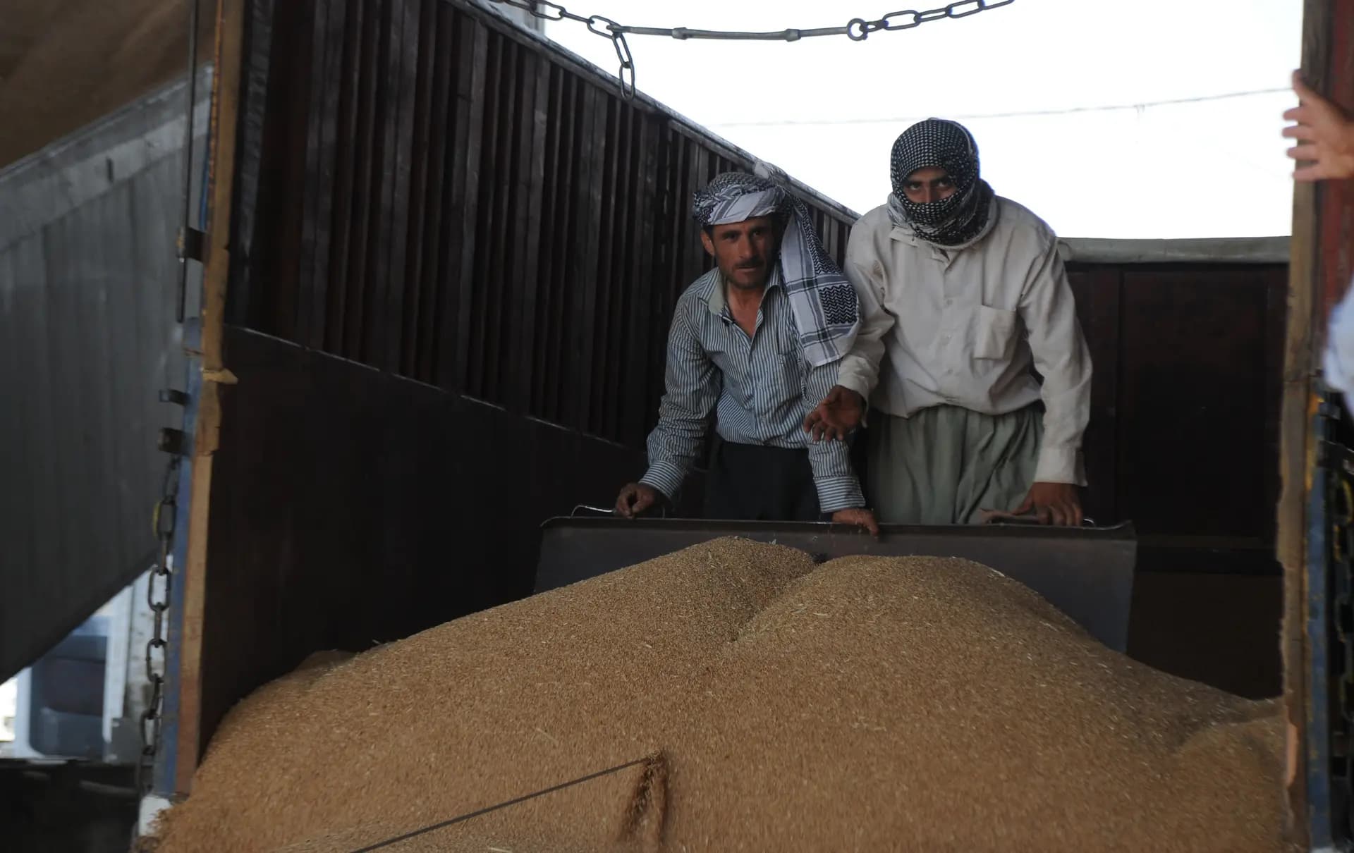 Baghdad vows nationwide wheat procurement, eyes self-sufficiency: Minister