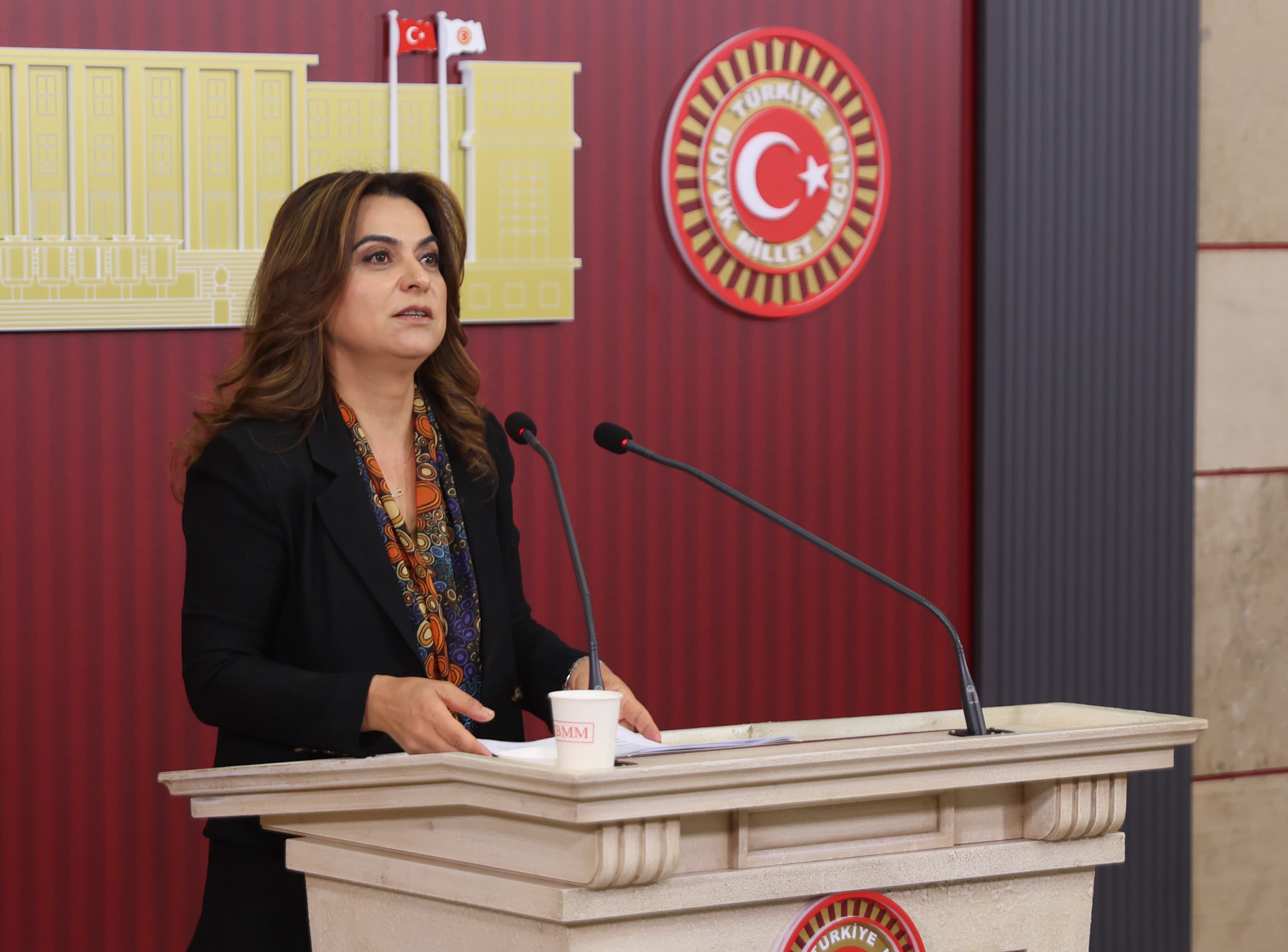 DEM Parti Grup Başkanvekili Koçyiğit: 12. Yargı Paketi adalet beklentilerini karşılamıyor