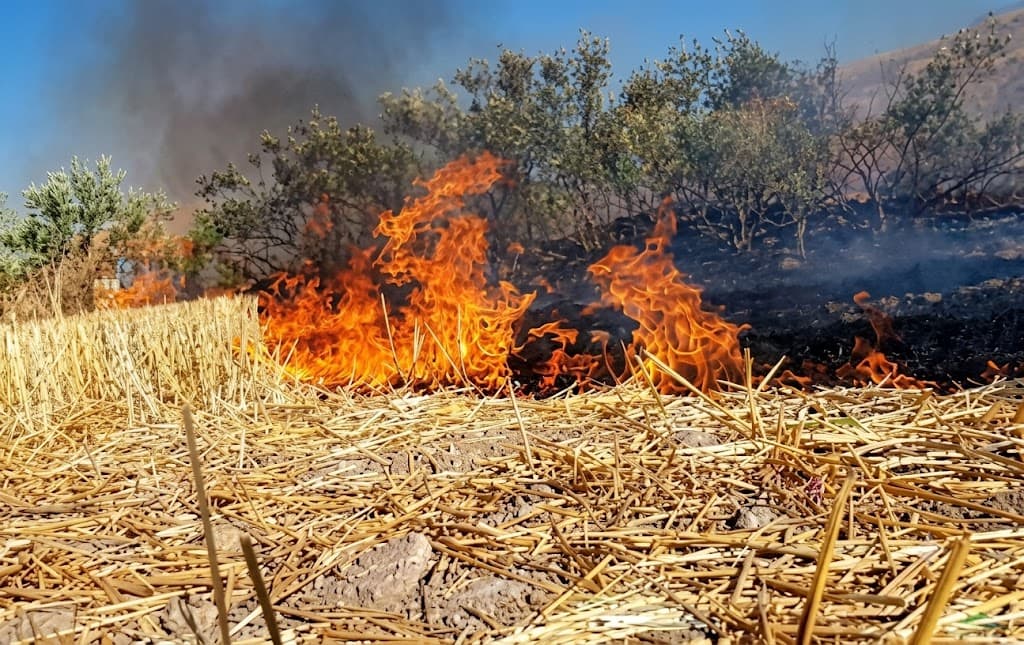 لە زاویتەی دهۆک 125 هەزار مەتر هێڵی ئاگربڕ دروستکرا