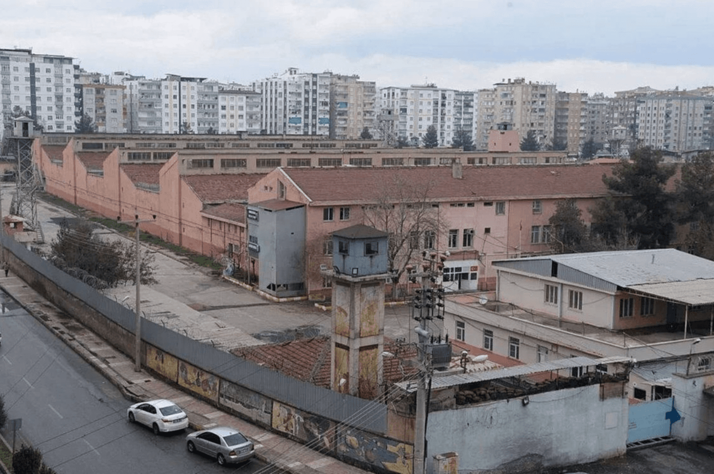 Gam ağacı
