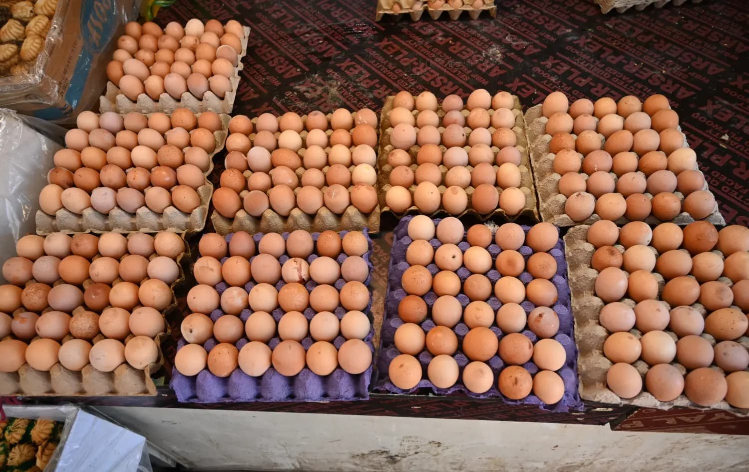 بەرپرسێکی وەزارەتی کشتوکاڵ: هێلکەی پەلەوەرخانەکان بە ناوی خۆماڵی دەفرۆشرێت