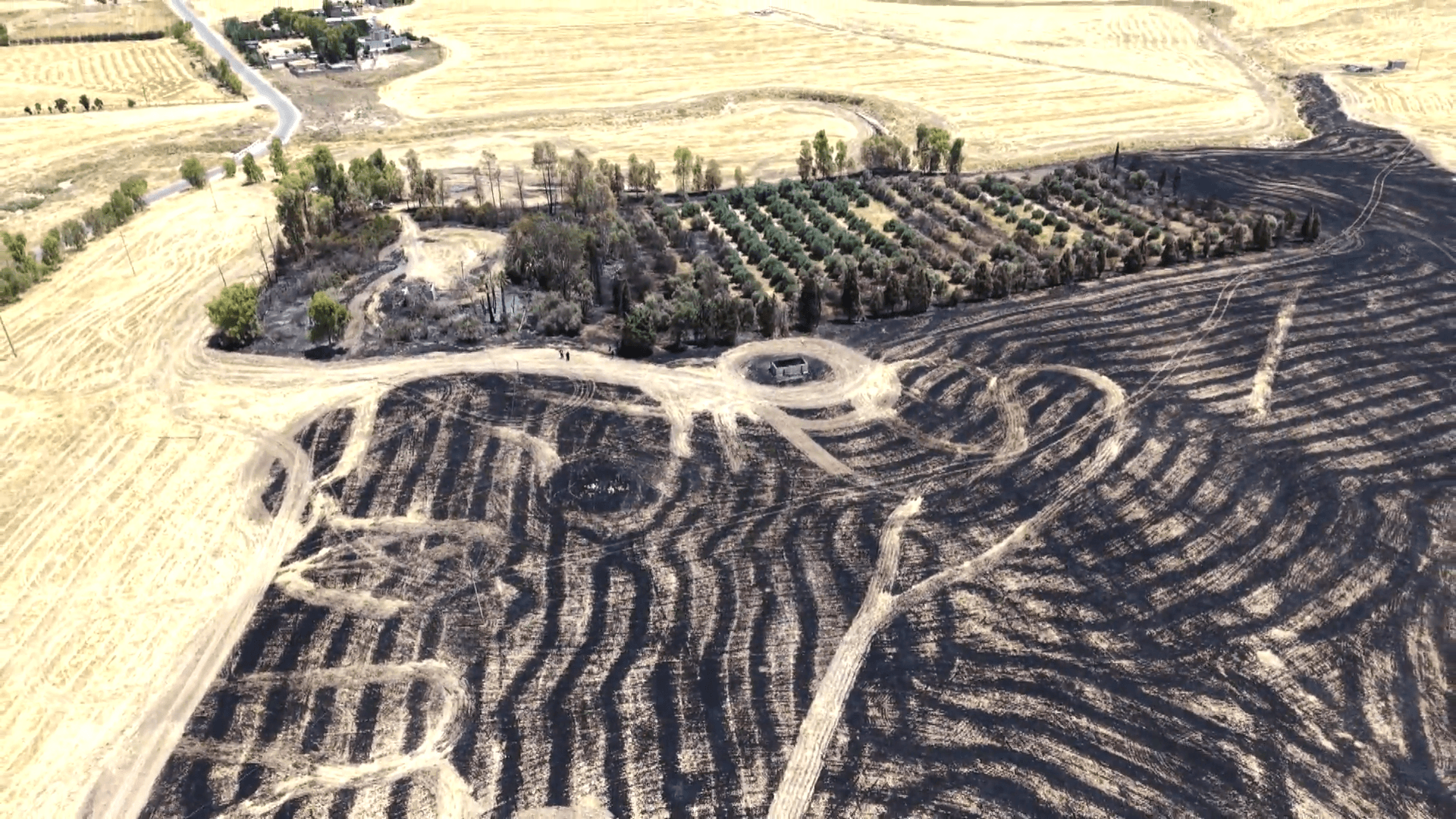 Fire destroys farmer’s 18-year orchard near Erbil