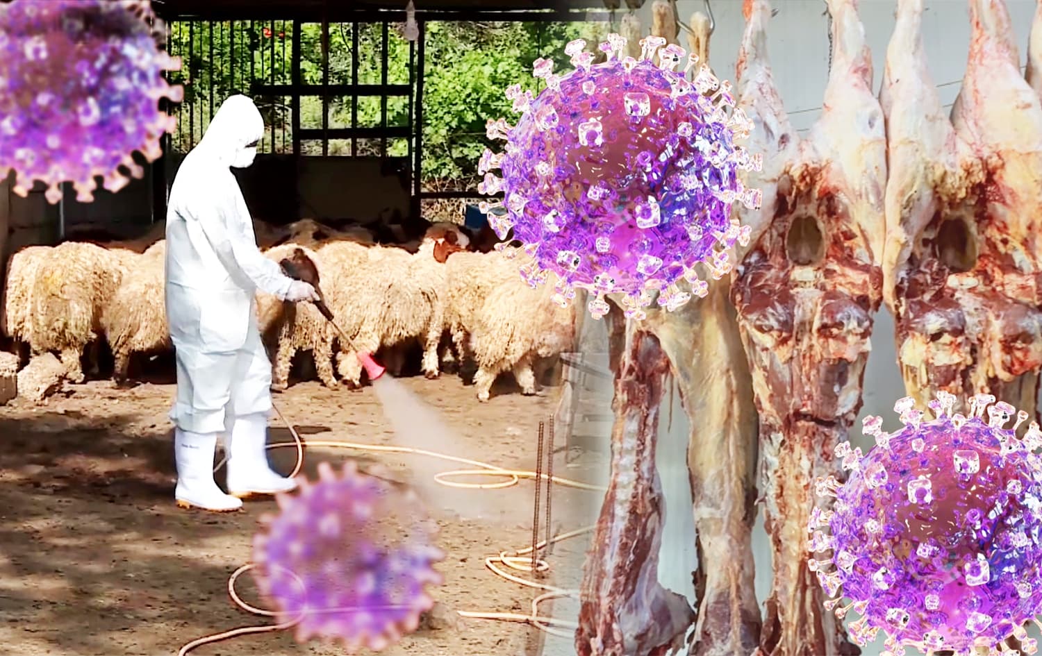 ئەم ساڵ لە عێراق و هەرێمی کوردستان رۆژانە 1.4 تووشبووی تای خوێنبەربوون تۆمار کراوە