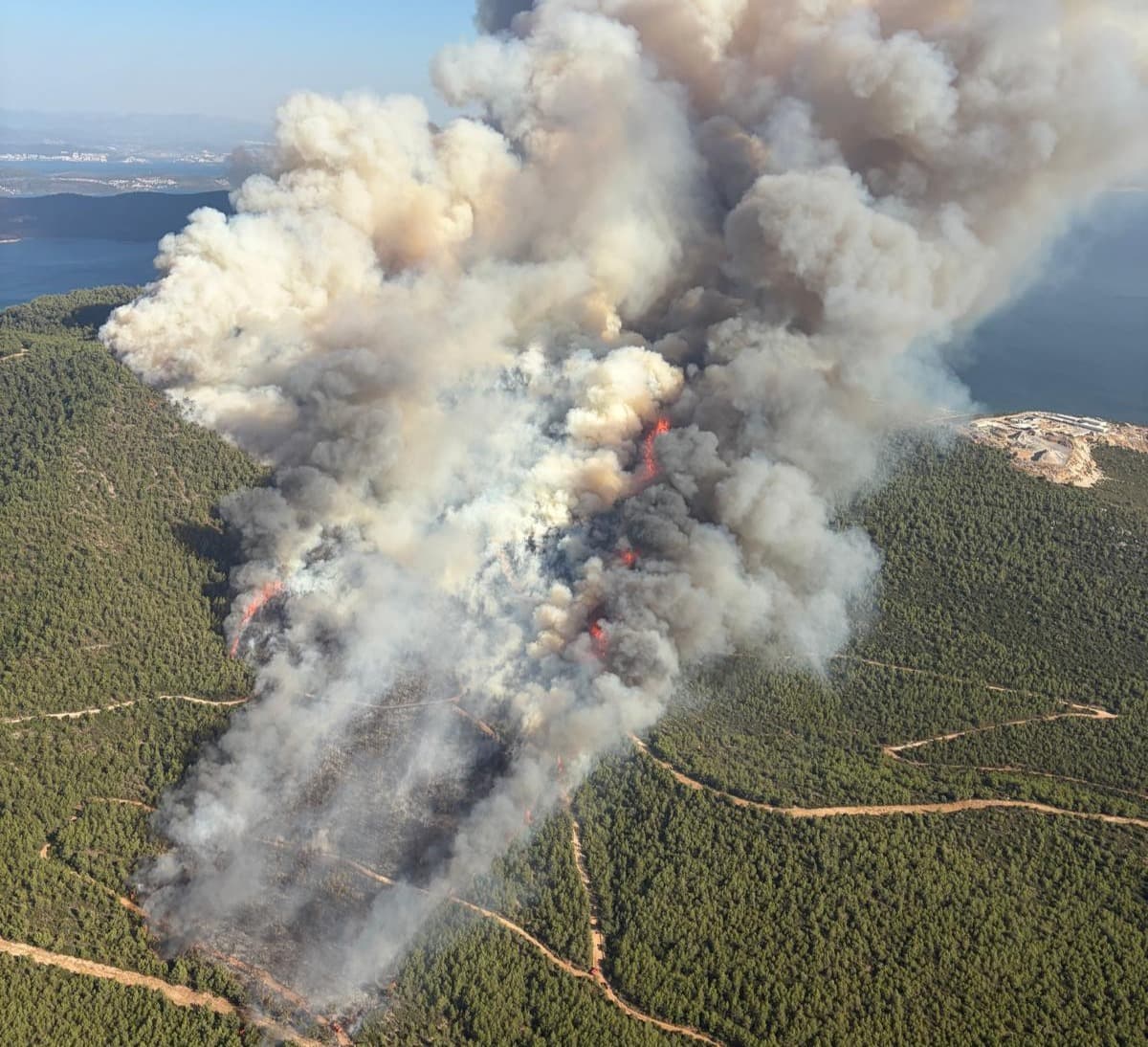 Muğla’da orman yangını