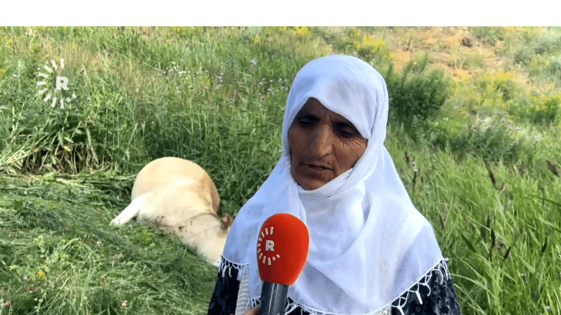 Hayırseverler, Ayni Teyze'nin gözyaşlarını sevince dönüştürdü