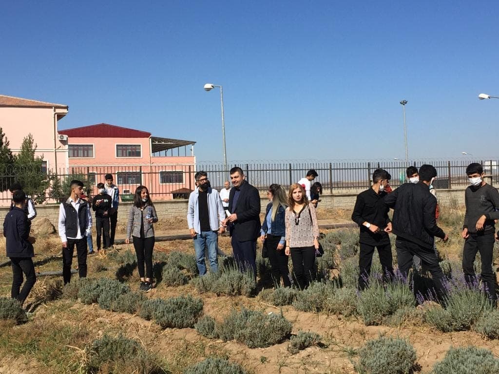 Öğrenciler sahada öğreniyor, Bismil Ovası'nda alternatif ürünler deneniyor