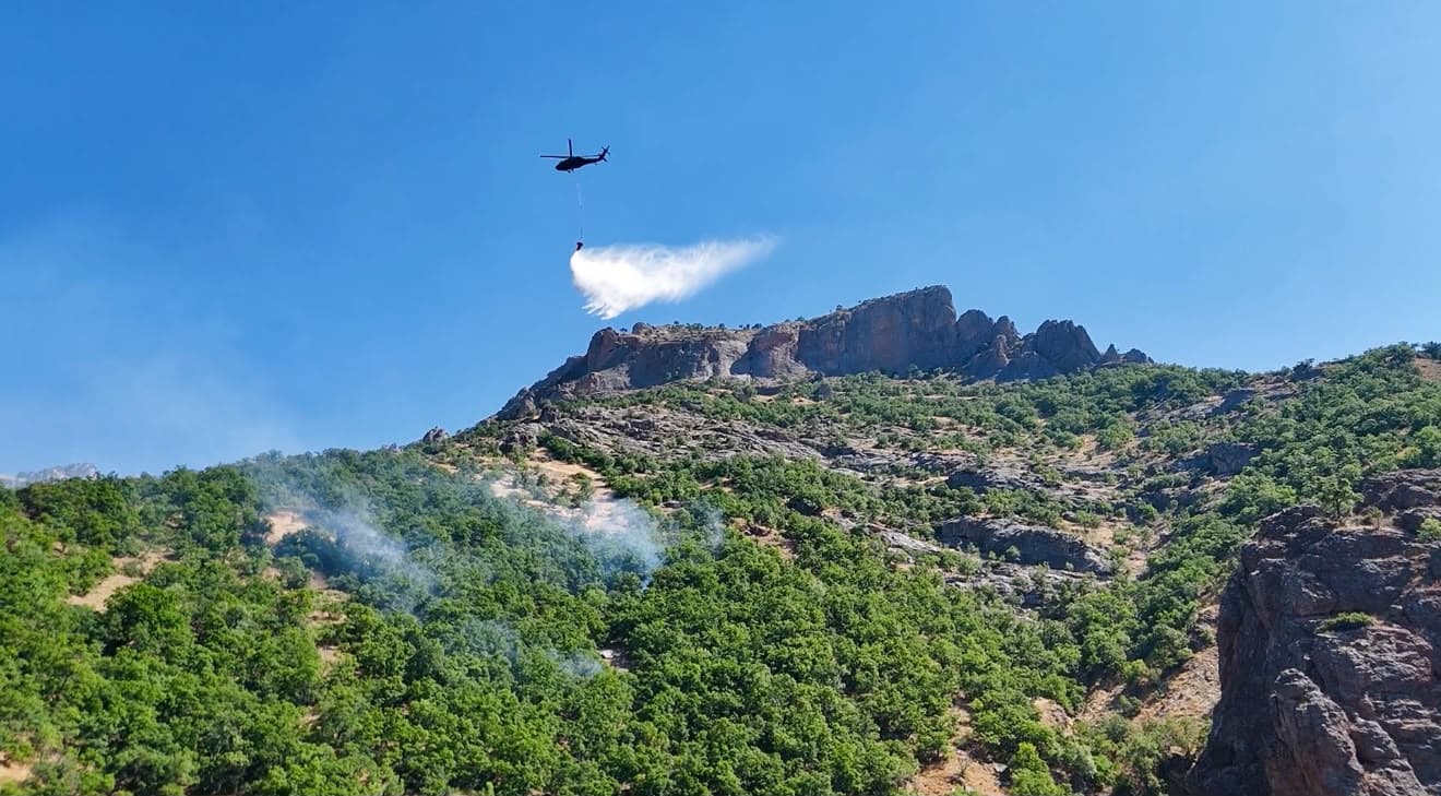 DERSİM - Munzur Vadisi'ndeki orman yangını örtü yangını olarak ilerledi