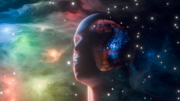 ئایا هۆش لە مێشکەوەیە؟ زانایەک بیردۆزێکی جیاواز دەخاتەڕوو