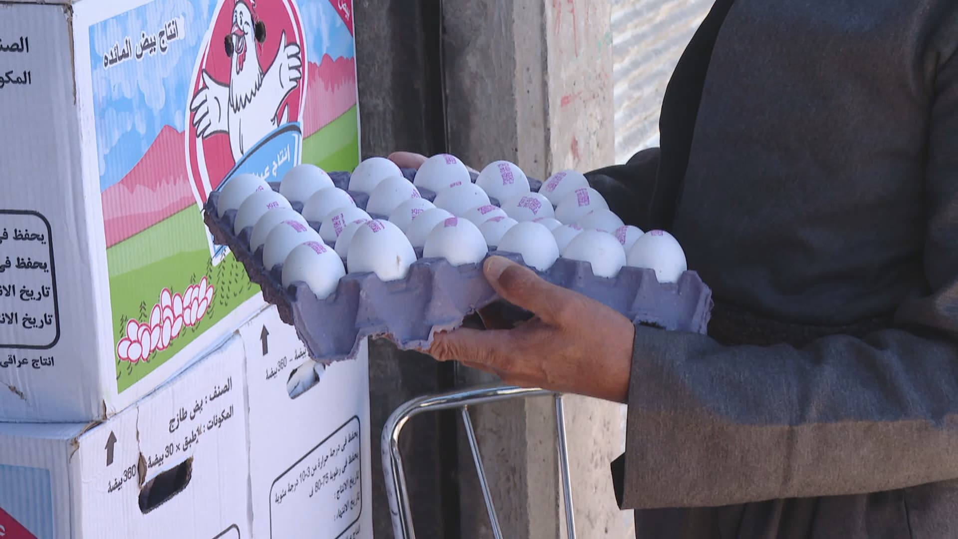 ئەنجوومەنی پزیشکانی ڤێتێرنەریی کوردستان: هێلکە نێوخۆییەکان کواڵیتیدارن و هیچ پیسبوونێک تۆمار نەکراوە