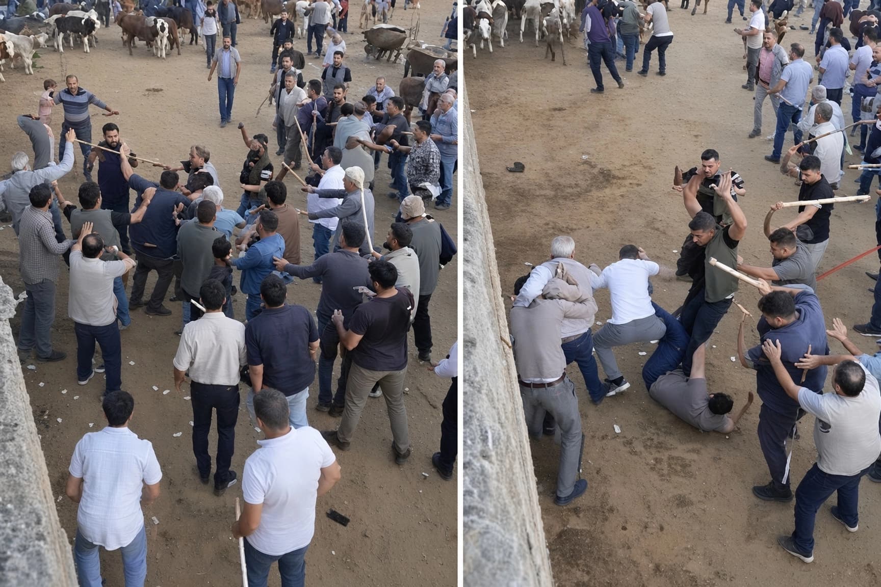 Diyarbakır’da hayvan borsasında sopalı kavga: Çok sayıda yaralı