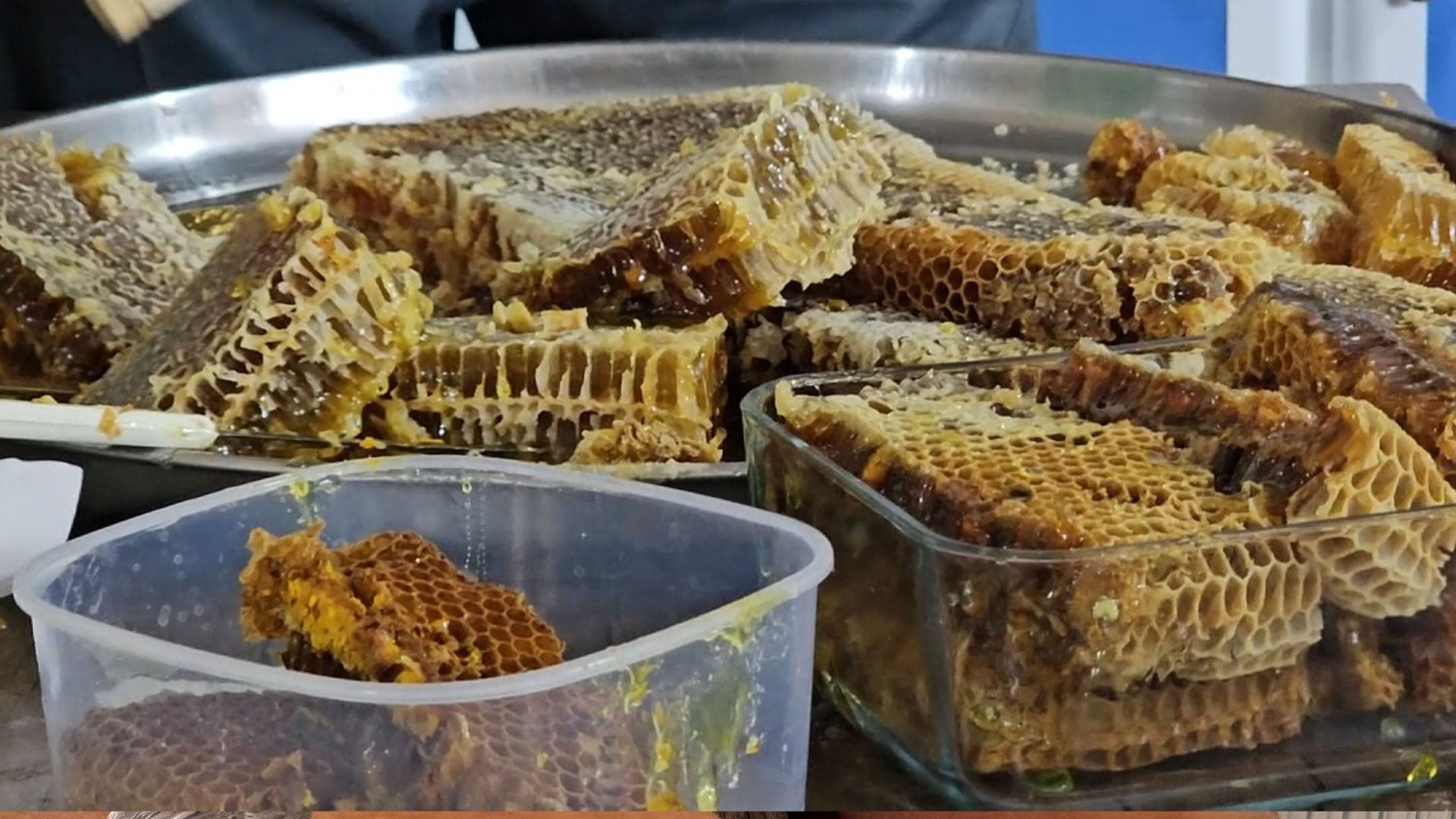 هەنگوینی ئەم ساڵی پارێزگای مووش نزیکەی 700 تۆنە
