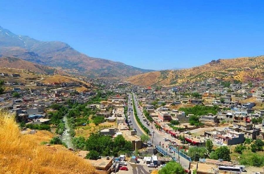 لە باڵەکایەتی 14 کەس بەهۆی بڕینی دار دەستگیرکراون