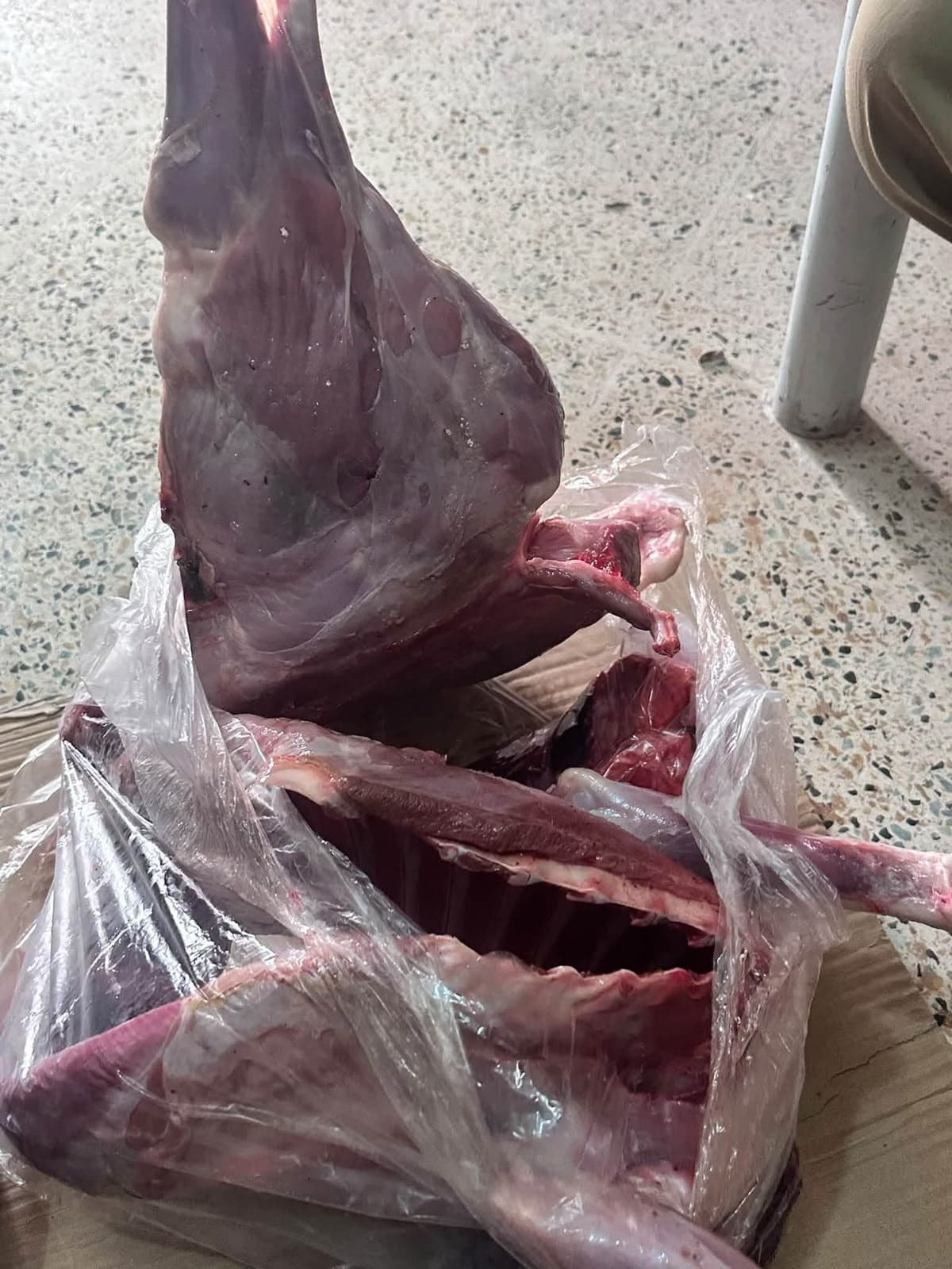لە گەرمیان گۆشتی دوو ئاسکی راوکراو بە زیادکردنی ئاشکرا دەفرۆشرێت