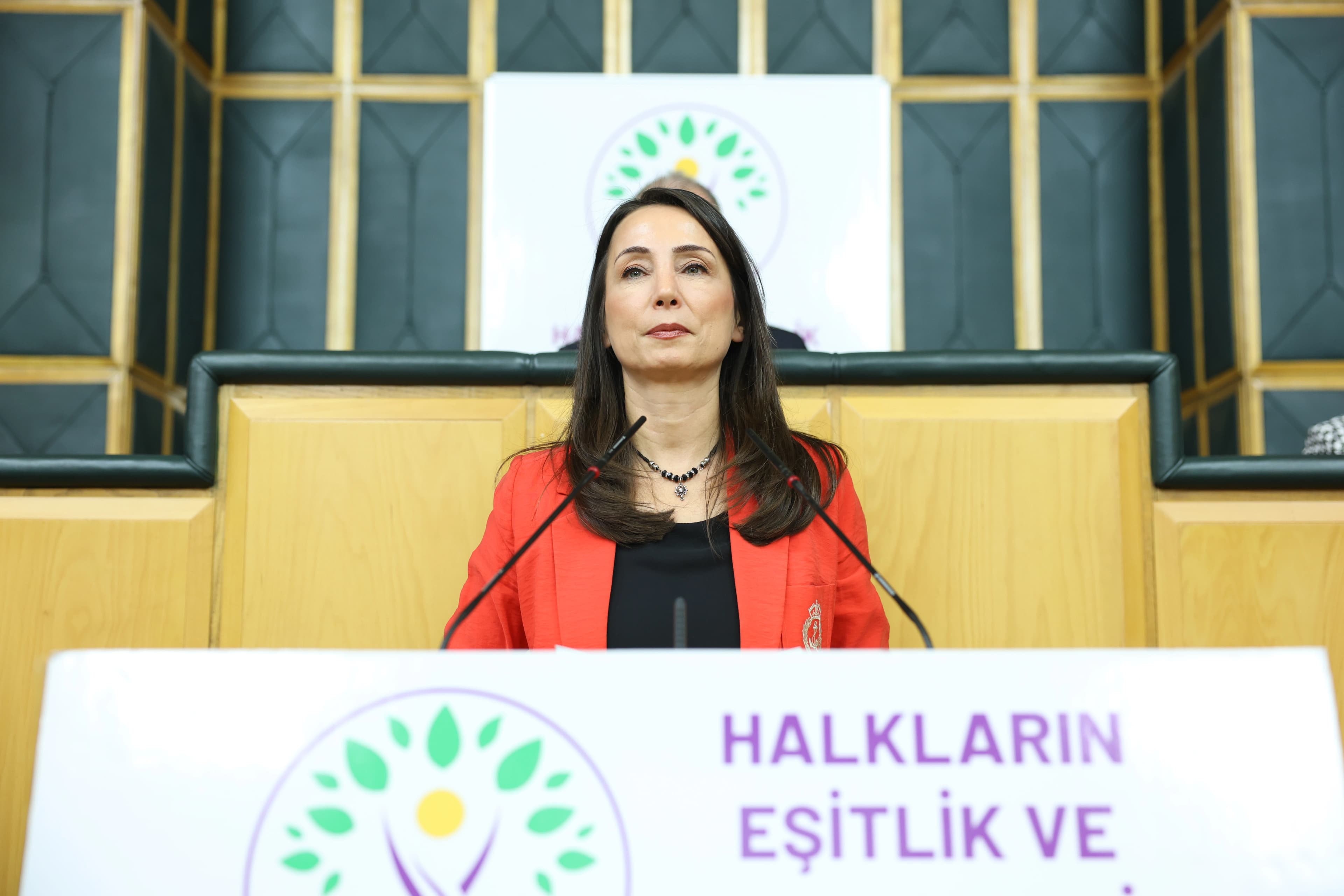 Hatimoğulları: Türkiye müzakere ve diyalog sürecinin başlaması için aracı olmalı