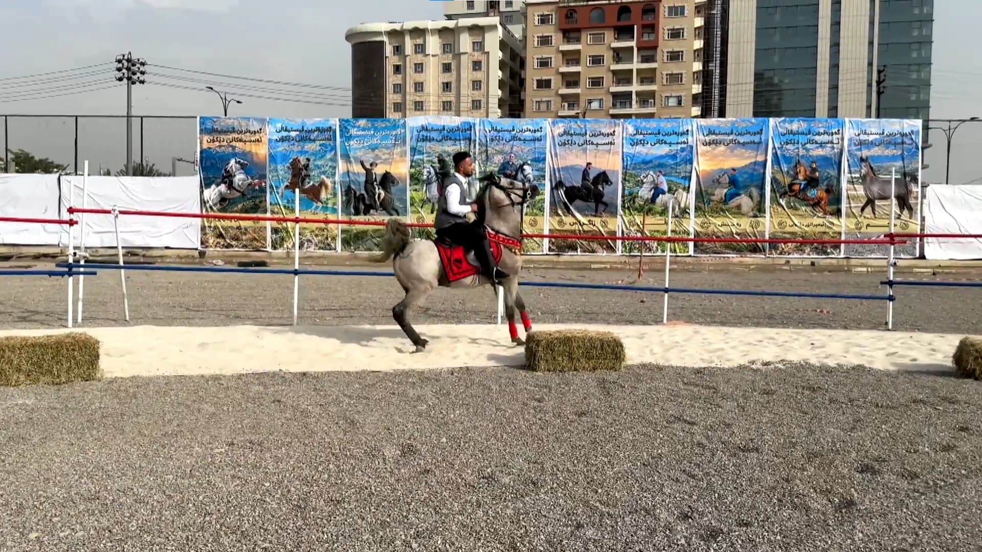 Kurdish horses showcase abilities at Sulaimani festival