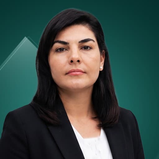 Mizgin Hasan