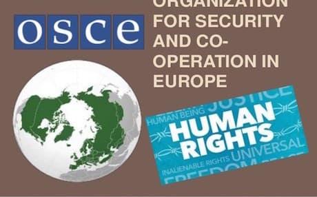 European organizations slam Turkey polls as unfair