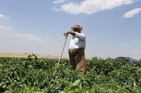 A farmer works the fields in Kurdistan. Photo: Farzin Hassan | Rudaw