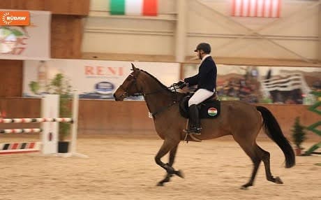 Horse riders from Canada, France, Britain, Egypt, Turkey, Jordan, Libanon, UAE and Iraq have taken part in the event.
