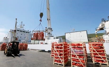 A ship carrying 4,000 tons of food destined for Qatar departs from the Turkish port of Izmir on June 22. Photo: AA