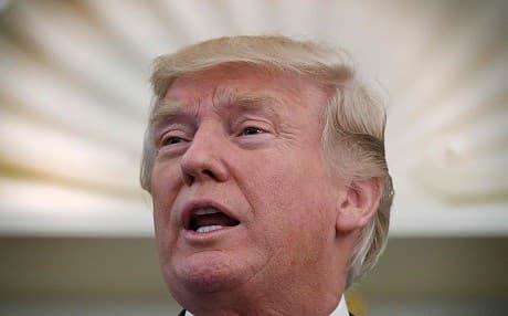  US President Donald Trump speaks at the White House in Washington, DC, on July 21, 2017. Photo: AFP /Jim Watson