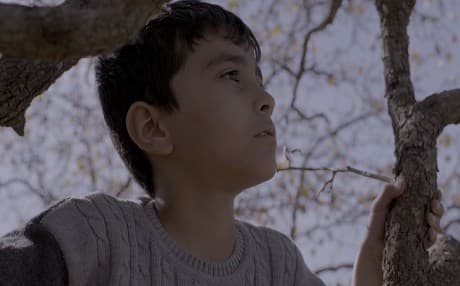 Vîr Kısa Filmi