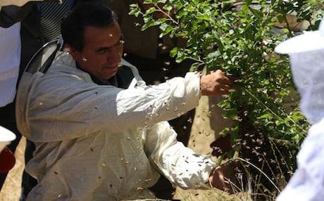 It is estimated there are 500,000 hives in the Kurdistan Region which produce a yearly average of 800 tons of honey, an amount which does not meet the domestic demand of 1,350 tons. Photo: Rudaw