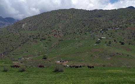 "Tirkiyê nêzîkî hezar leşker anîne nav axa Başûrê Kurdistanê"