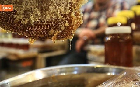 Meet Abdulfatah Abdulhamed, a beekeeper from Balkha, Hawraman, Kurdistan. This video was first published on March 6, 2016.