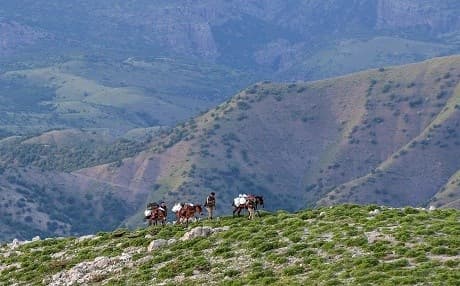 Turkish forces use donkeys carry supplies over Kurdistan’s mountains in their campaign against the PKK. Photo: Ozkan Bilgin/Anadolu Agency