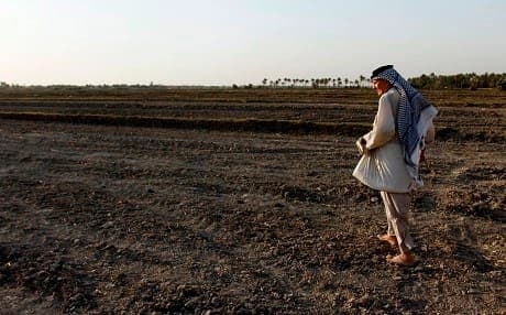An Iraqi man walks on a dry field in an area affected by drought in the Mishkhab region, central Iraq, some twenty-five kilometres from Najaf. Photo: Haidar Hamdani/AFP