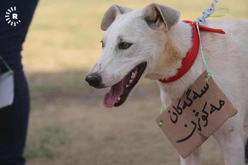 Group gathers in Sulaimani to support animal rights