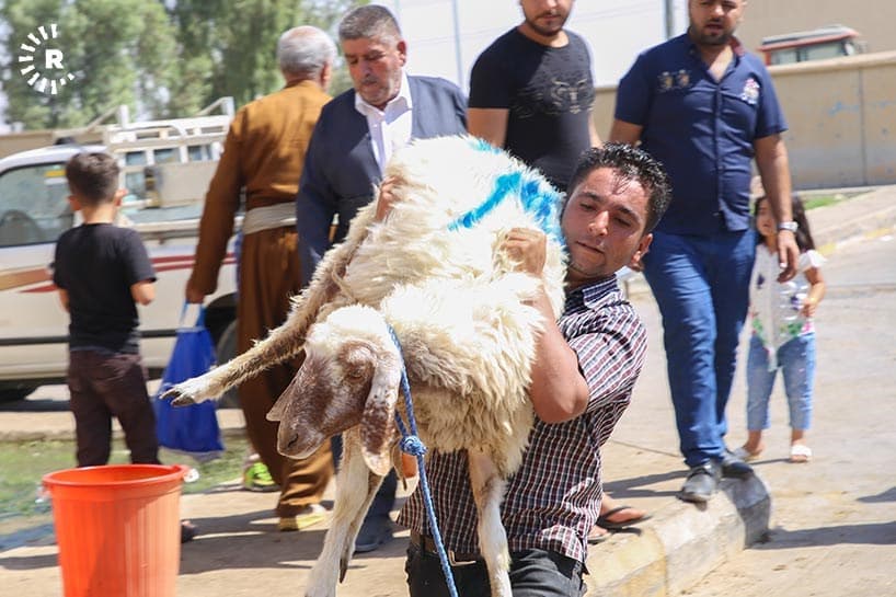 Islamic ‘Festival of Sacrifice’ on display in Kurdistan Region's capital of Erbil