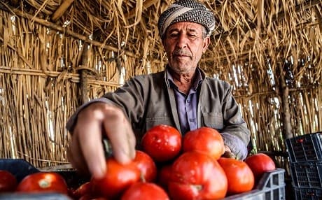 Kurdish farmers should soon be able to access Iraqi loans
