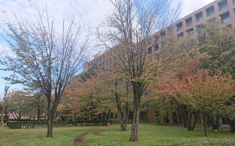 Tokyo Yabancı Araştırmalar Üniversitesi