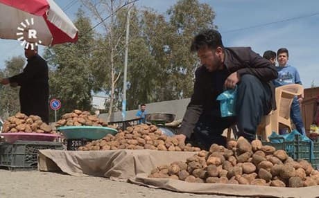 دۆمبەڵان بە سرووشتی سەوزدەبێت، لە 9%ـی پێکھاتەکەی پڕۆتینە