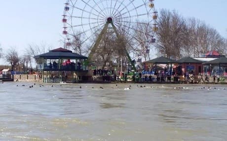 People swim to the shore after a ferry sunk in Mosul’s Tigris River on Thursday afternoon. Photo: Mosul Eye/Twitter