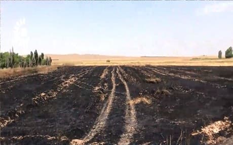 In this image from May 23, 2019, a charred wheat field can be seen. Photo: Rudaw TV