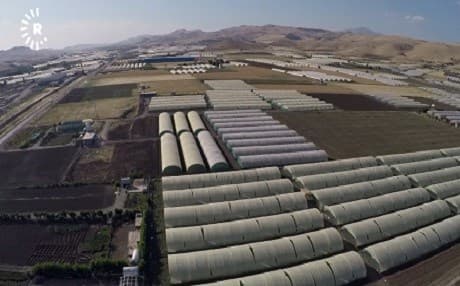 How tenable is the boom in Kurdistan Region greenhouse farming?