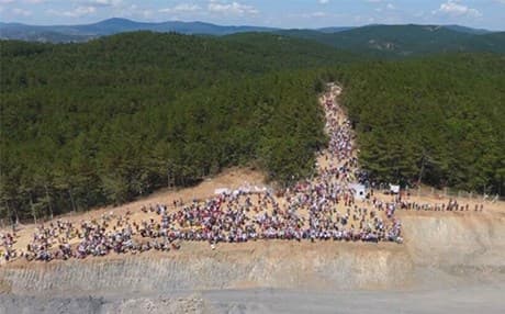 Kaz Dağları