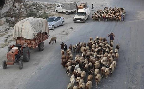 Syrian families flee battles in trucks loaded with belongings on the highway near Maaret al-Numan, southern Idlib province, August 14, 2019. Photo: Omar Haj Kadour / AFP