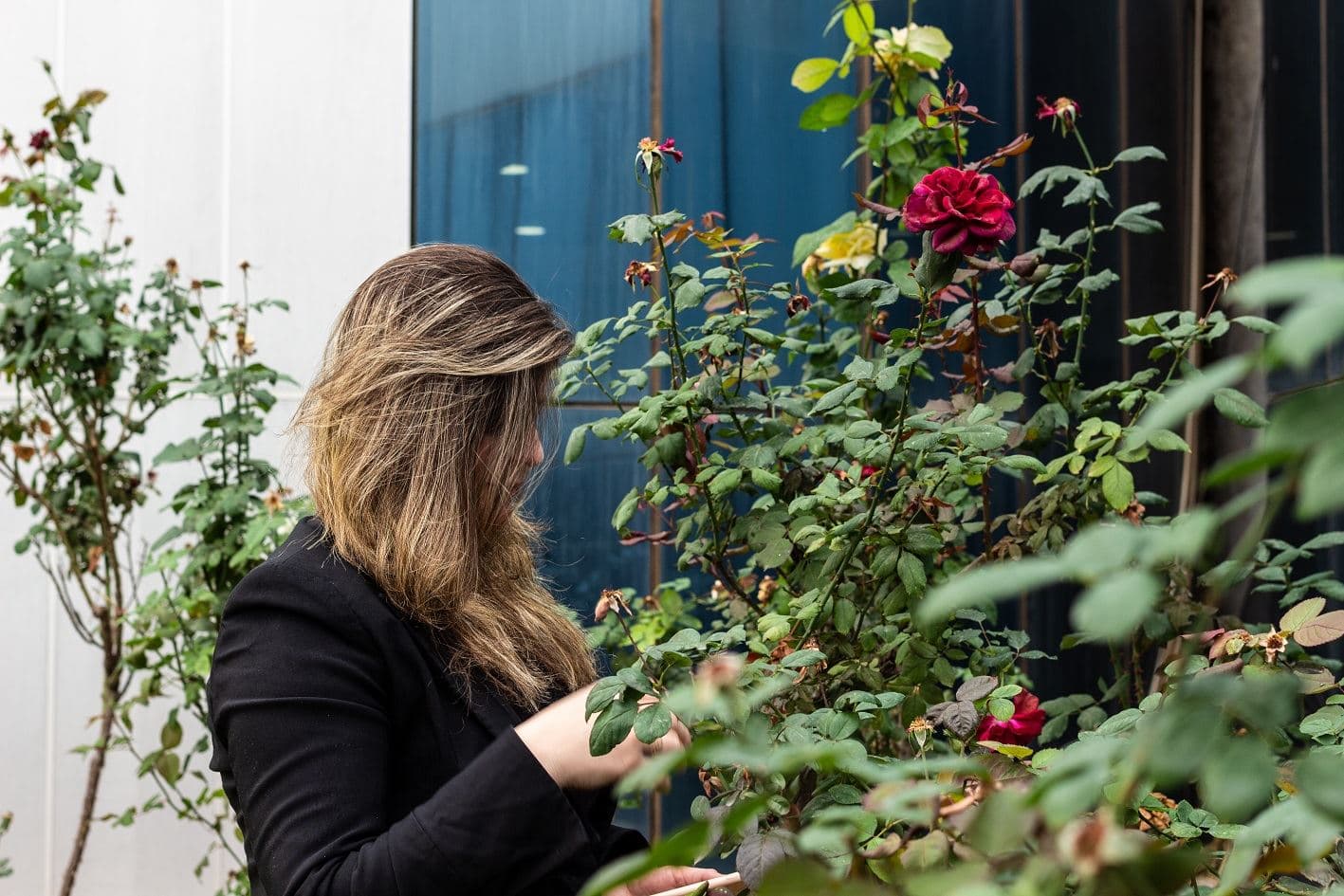 Huzga (not her real name) looks at a rose in the garden of the Kurdistan Women’s Union in Erbil on November 28, 2019. Photo: Hannah Lynch / Rudaw