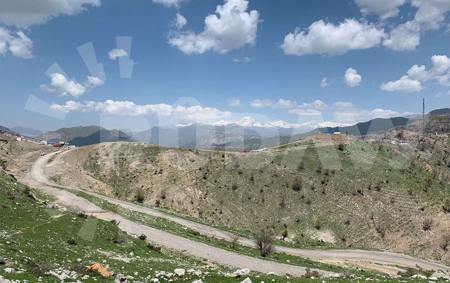 Zînî Wertê