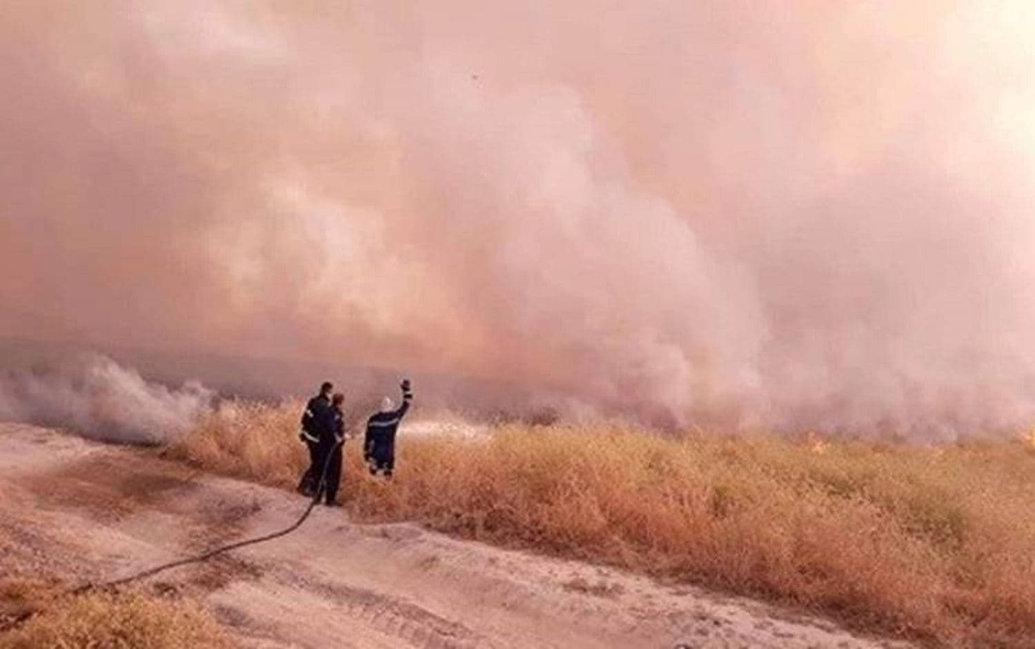 Firefighters from the Iraqi Civil Defense Directorate try to extinguish a field fire in Shingal, northern Iraq in June 2019. Photo: Iraqi Civil Defense Directorate 